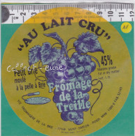 C1309  FROMAGE DE LA TREILLE BRIE SAINT SIMEON SEINE ET MARNE RAISIN - Kaas