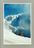 *CPM - Les Joies De La Neige 8554 - Montagnes Sous La Neige - Photographs