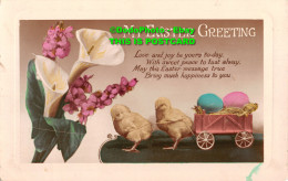 R344695 My Easter Greetings. Flowers And Two Chick. RP - Monde