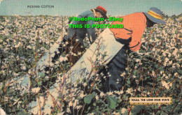 R344898 Texas. The Lone Star State. Picking Cotton. M. W. M. Color Litho Burshee - World