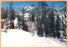 Ppgf/ CPSM Grand Format - HAUTES ALPES - CEILLAC - PISTE DE GÉRARDIN - PIC DE HEUVIERES (2) - Autres & Non Classés