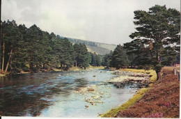 183 - The River Dee Near Braemar - Aberdeenshire