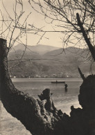 AD364 Cartolina Da Identificare - Paesaggio Lacustre - Panorama Di Barca Sul Lago / Viaggiata 1953 - Other & Unclassified