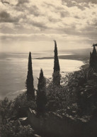AD365 Cartolina Da Identificare - Paesaggio Lacustre - Panorama Di Cipressi Sul Lago / Viaggiata 1953 - Altri & Non Classificati