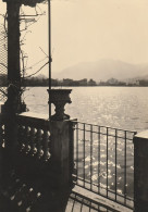 AD366 Cartolina Da Identificare - Paesaggio Lacustre - Panorama Di Terrazza Sul Lago / Non Viaggiata - Other & Unclassified