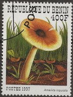 Bénin N°785 (ref.2) - Mushrooms