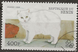 Bénin N°849 (ref.2) - Gatos Domésticos