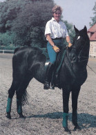 Horse - Cheval - Paard - Pferd - Cavallo - Cavalo - Caballo - Häst - Dressage - Kyra Kyrklund & Edinburg - Paarden