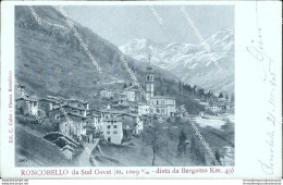 Bs365 Cartolina Roncobello Da Sud Ovest 1905 Provincia Di Bergamo  Lombardia - Bergamo