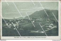 Bs317 Cartolina Selvino Panorama Generale Provincia Di Bergamo Lombardia - Bergamo