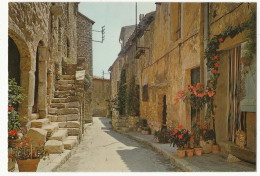 195 - Tourrettes Sur Loup - Vieux Village Médiéval - Cité Des Violettes - Autres & Non Classés