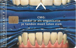 Netherlands - KPN - Chip - CRD025-02 - CMG Computer Managment Group, 11.1994, 2.50ƒ, 1.250ex, Used - Private