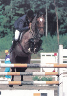 Horse - Cheval - Paard - Pferd - Cavallo - Cavalo - Caballo - Häst - Henrik Ehrnrooth & Bikker - Horses