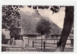 39005808 - Ostseebad Dierhagen Mit Alten Bauernhaus Ungelaufen  Duenne Stelle Rueckseite, Sonst Gut Erhalten. - Sonstige & Ohne Zuordnung