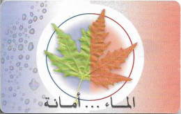 Syria - STE (Chip) - Save Water - Leaf, Gem5 Red, 500SP, Used - Syrien