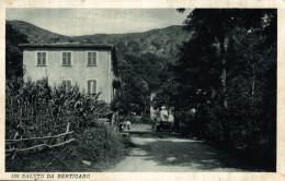 BERTIGARO Di BORZONASCA, Genova - Particolare - VG - #008 - Other & Unclassified
