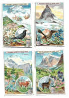 S 740 , Liebig 6 Cards, Alpes Suisse (stickers On The Backsides) (ref B18) - Liebig