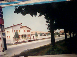 ALBANO STURA CUNEO LE SCUOLE  VB1979 JV6525 - Cuneo