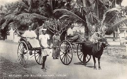 SRI LANKA - Rickshaw And Bullock Hackery - Publ. Plâté Ltd. 60 - Sri Lanka (Ceilán)