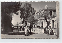 Algérie - REIBEL Ksar Chellala - Ecole De Filles Et Route Principale - Ed. Mohamed Miloud  - Autres & Non Classés