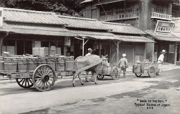 JAPAN - Back To The Soil - Typical Scene Of Japan - REAL PHOTO - Altri & Non Classificati