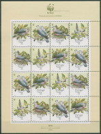 Portugal - Madeira 1991 WWF Tauben ZD-Bogen 143/46 ZD Postfrisch (C91011) - Madère