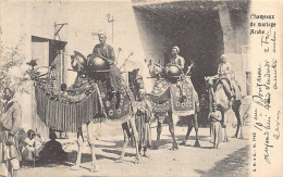 Egypt - Camels Of An Arab Wedding - Publ. G. M. E C. 7762 - Other & Unclassified