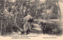 Haiti - The Bottle-tree And The Use Of Its Fruits - Ed. Thérèse Montas  - Haïti