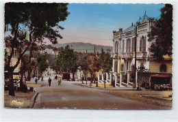 Kabylie - TIZI OUZOU - Boulevard Beauprètre Et Banque De L'Algérie - Ed. Cheikh A. 27 - Tizi Ouzou