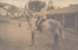 AUMALE Sour El-Ghozlane - Officiers Des Chasseurs D'Afrique - CARTE PHOTO - Sonstige & Ohne Zuordnung