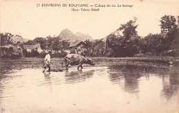 China - Surroundings Of GUIYANG (Kouiyan) - Rice Cultivation - Harrowing - Publ. Missions étrangères De Paris, France 23 - China