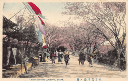 Japan - TOKYO - Cherry Blossoms Arakawa - Tokio