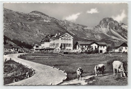 MALOJA (GR) Hotel Maloja-Kulm - Verlag K. Engelberger 1015 - Otros & Sin Clasificación