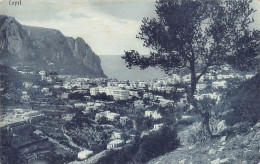 CAPRI (NA) Panorama - Otros & Sin Clasificación