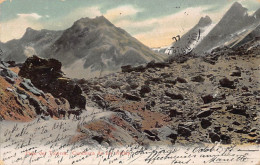 Argentina - Paso Del Tolorsa, Cordillera De Los Andes - Ed. R. Rosauer 309 - Argentinien
