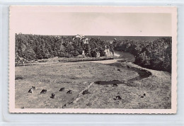 SAINT PIERRE & MIQUELON - Langlade - La Belle Rivière - Ed. Jean Briand 10 - Saint-Pierre-et-Miquelon