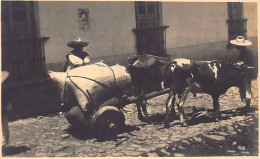 México - Yunta De Bueyes - POSTAL FOTO - Ed. Mantel  - Mexique