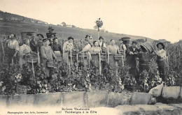 Scènes Vaudoises - Vendanges à La Côte - Ed. Phot. Des Arts 3437. - Sonstige & Ohne Zuordnung