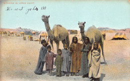 Egypt - Bishari Tribe In Upper Egypt - Publ. Lichtenstern & Harari 75 - Autres & Non Classés