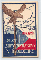 Česká Rep. - PRAHA - Slet Župy Barakovy V Hloubětíně - 30.V.1920 - Tschechische Republik