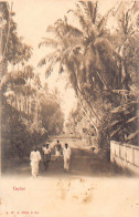 Sri Lanka - Country Road - Publ. A.W.A. Plâté & Co.  - Sri Lanka (Ceilán)