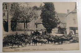 15 Cantal Cheylade Depart Pour La Montagne Benediction Du Troupeau - Autres & Non Classés