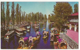 208 - Xochimilco -Mexico - Floating Gardens - México
