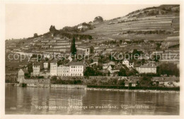 13796337 Vevey VD Vignoble Vaudois Rebberge Im Waadtland Genfersee Vevey VD - Andere & Zonder Classificatie