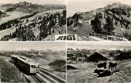 13795889 Rigi Kulm Berghotel Panorama Rigi-Bahn Almvieh Alpenpanorama Rigi Kulm - Other & Unclassified