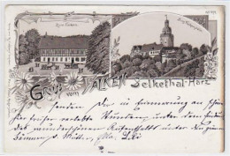 39003508 - Lithographie Gruss Vom Falken Selkethal-Harz. Gasthof Zum Falken Burg Falkenstein Gelaufen 1897. Oxydationss - Bernburg (Saale)