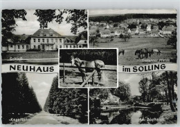 10024508 - Neuhaus Im Solling - Holzminden