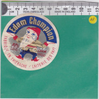 C1321  FROMAGE EDAM CHAMPION FAYT  AISNE ?? NAIN 40 % - Cheese