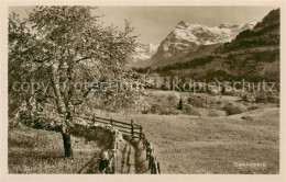 13823209 Seelisberg UR Landschaftspanorama Baumbluete Alpen Seelisberg UR - Sonstige & Ohne Zuordnung