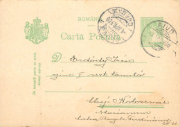 Romania Postal Card 1930 Oradea Cluj - Romania